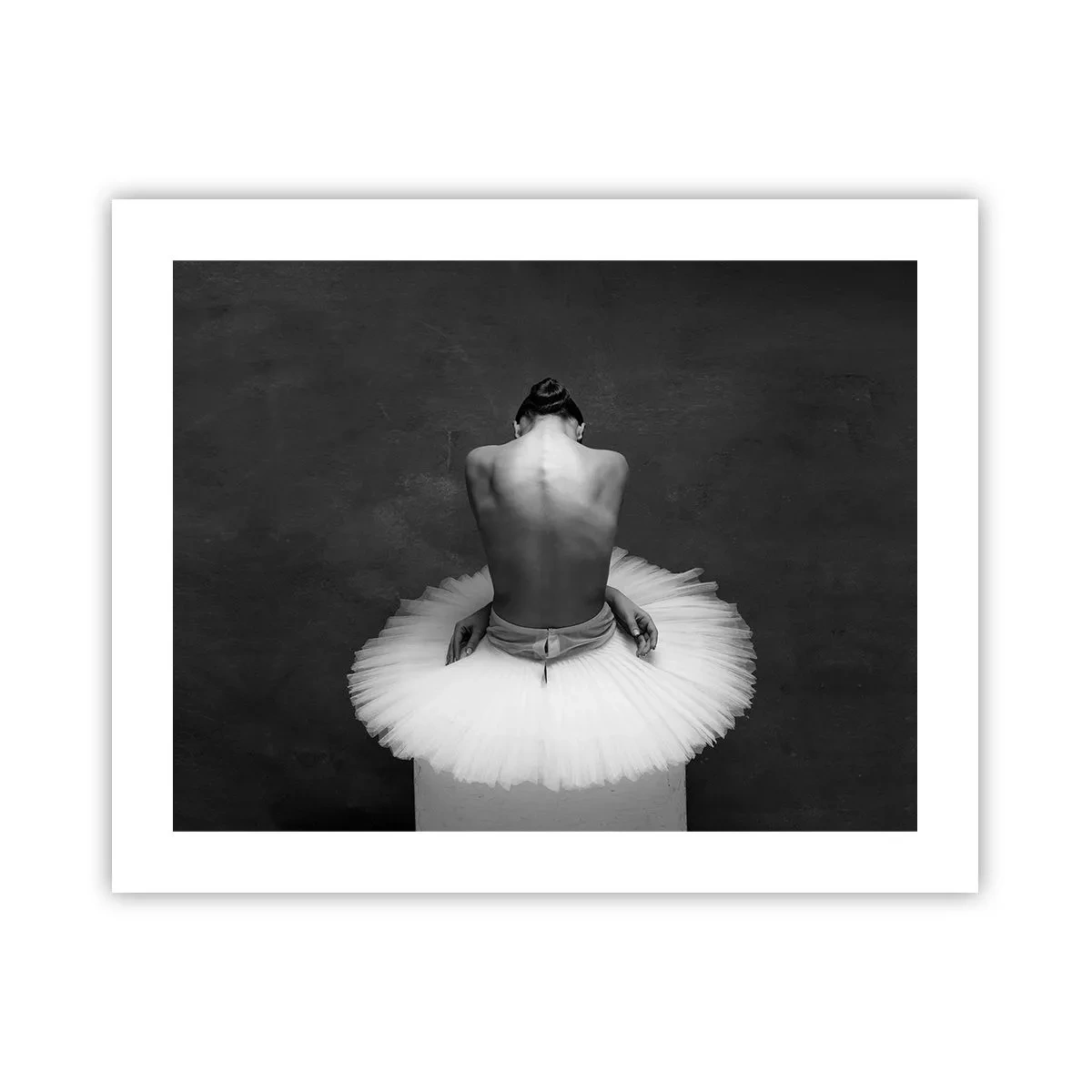 Plagát - Práve prekvitá - 50x40 cm