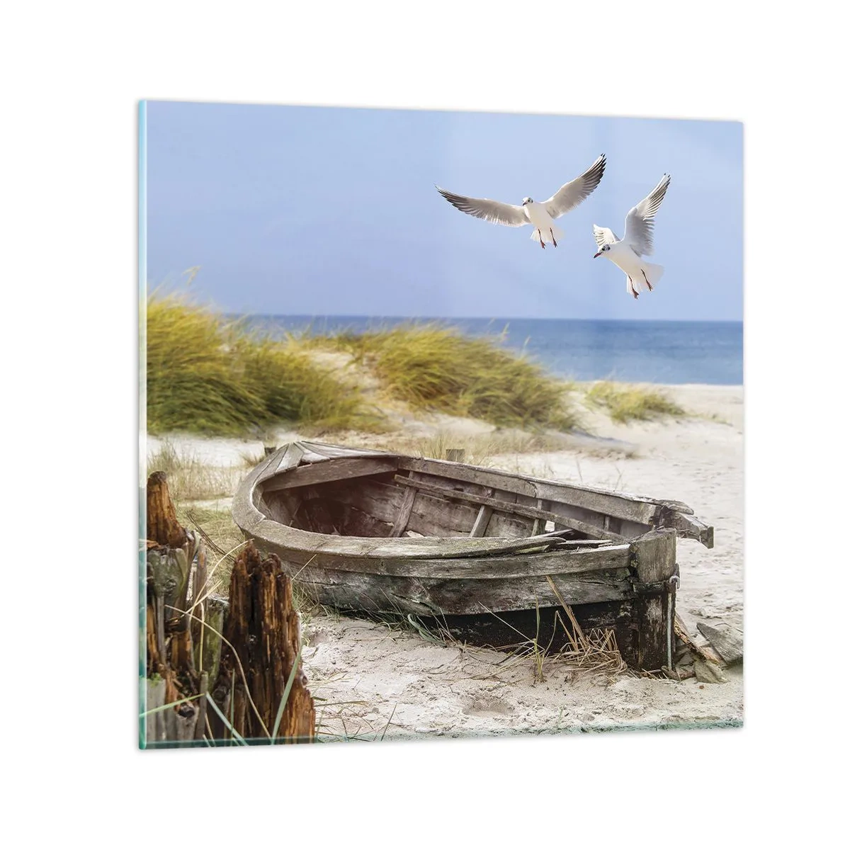 Obraz na skle - Vetrom ožiarené - 50x50 cm