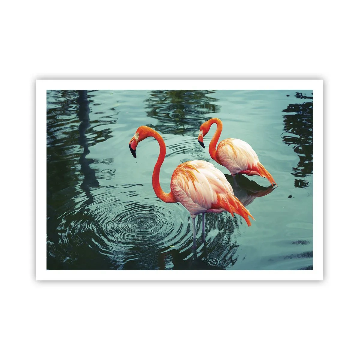 Plagát - Teraz sme v móde - 100x70 cm
