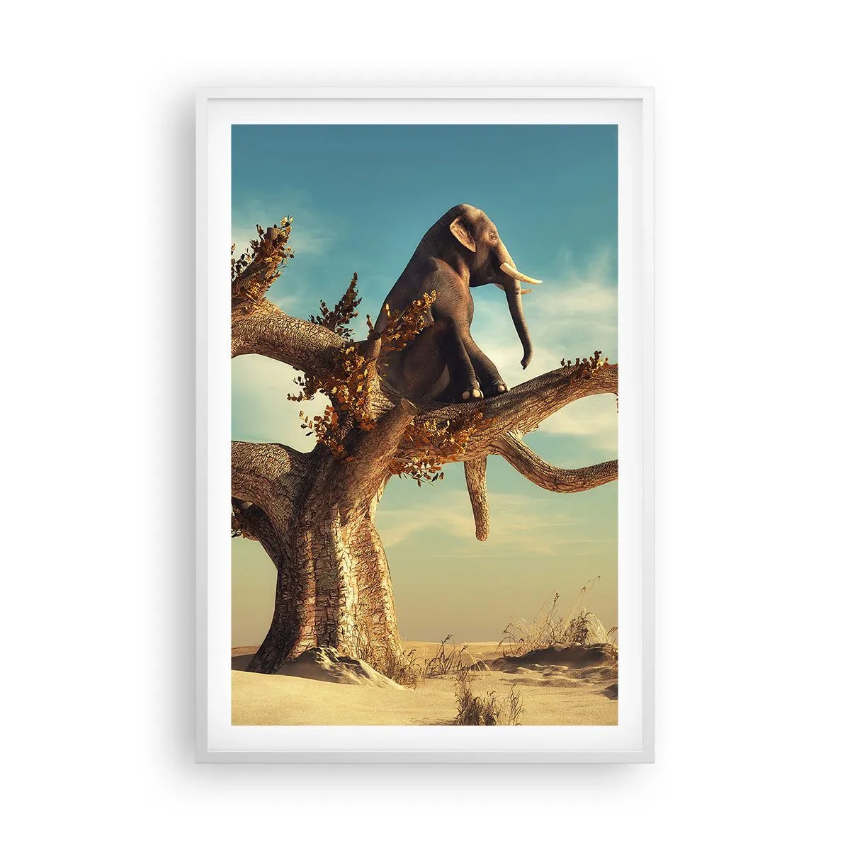 Plagát v bielom ráme - Nový uhol pohľadu - 61x91 cm