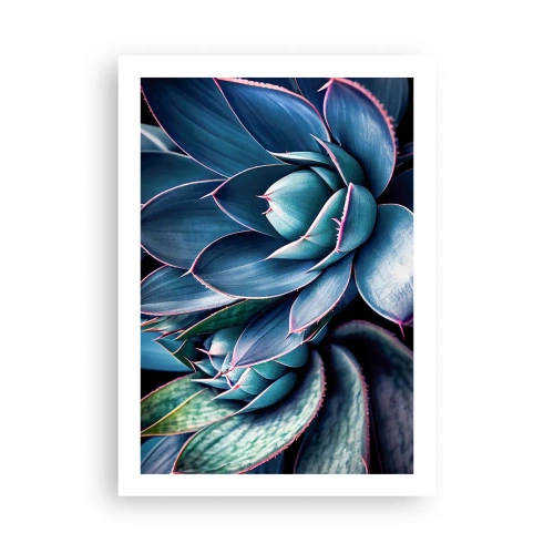 Plagát - Vitálna sila - 50x70 cm