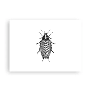 Plagát - Vzorový exemplár! - 70x50 cm