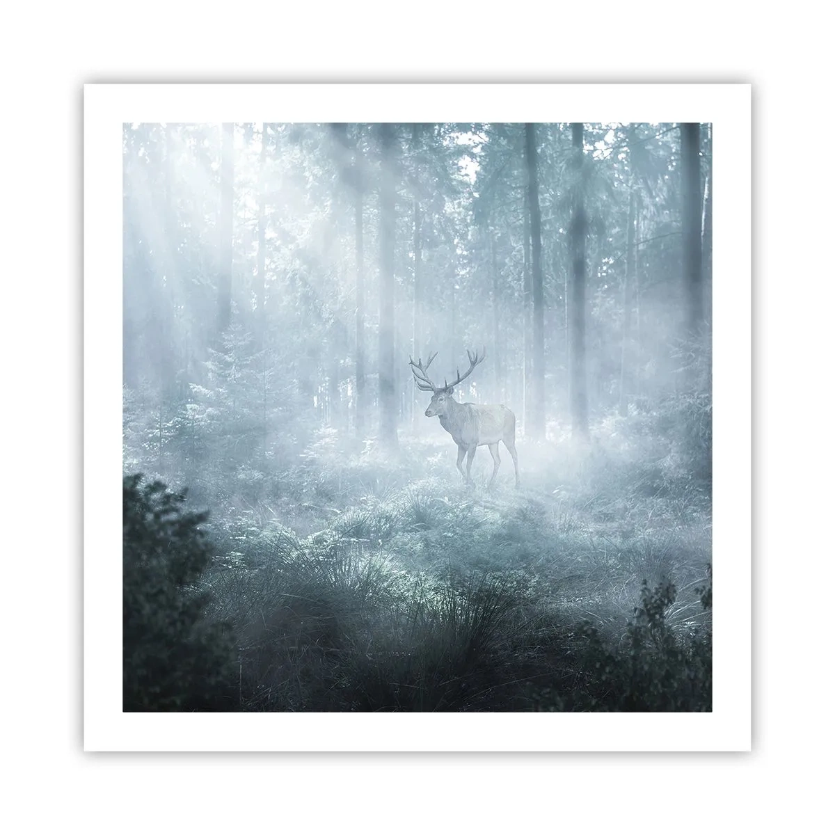 Plagát - Ranná obchôdzka sídliska - 60x60 cm