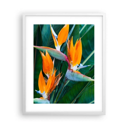 Plagát v bielom ráme - Je to kvetina, alebo vták? - 40x50 cm