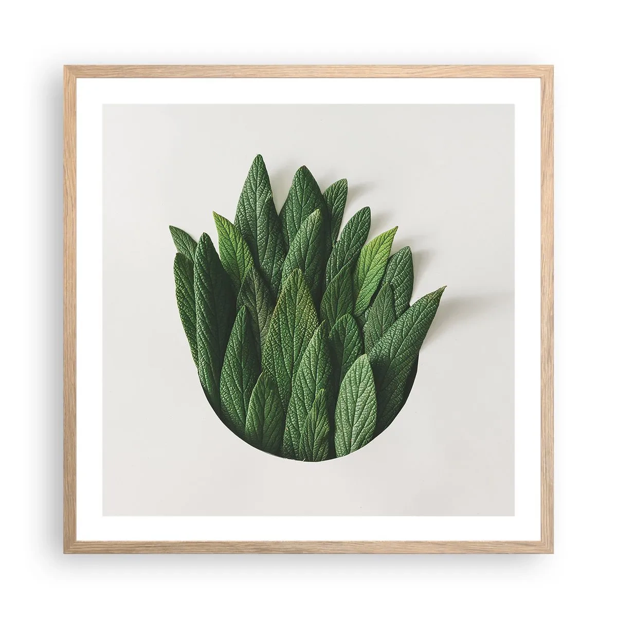 Plagát v ráme zo svetlého duba - Neukojiteľná zvedavosť - 60x60 cm