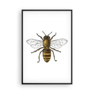 Plagát v čiernom ráme - Krásna a dobrá - 61x91 cm