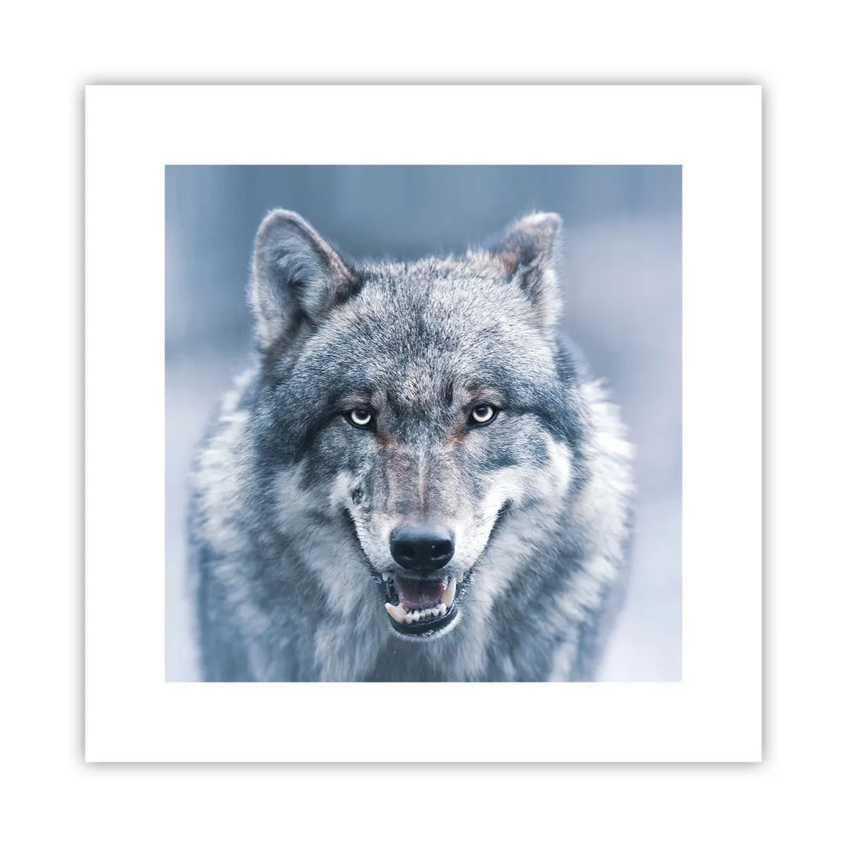 Plagát - Prijmete túto výzvu? - 30x30 cm