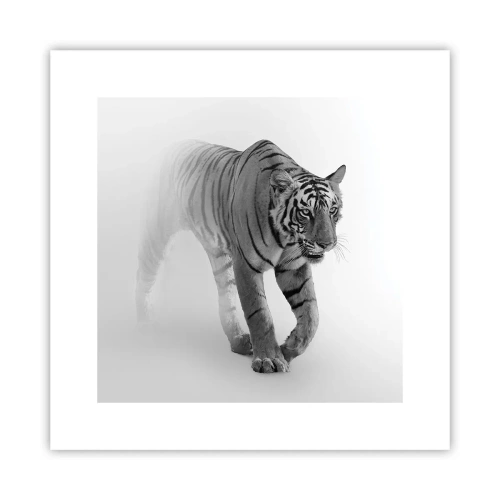 Plagát - Prikrčený v hmle - 30x30 cm