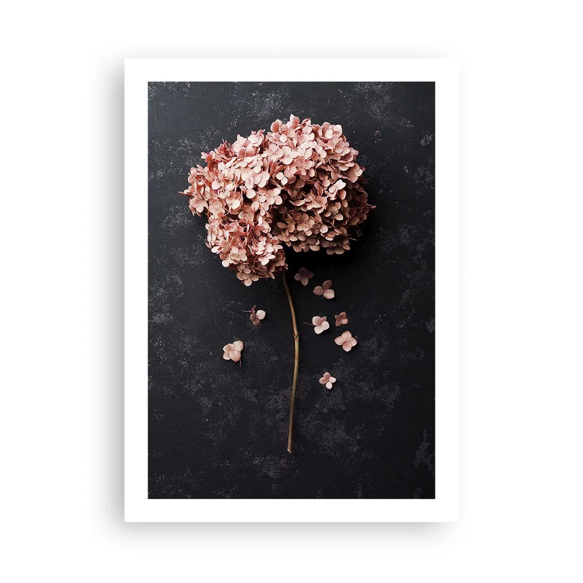 Plagát - Skutočne romantické znamenie - 50x70 cm