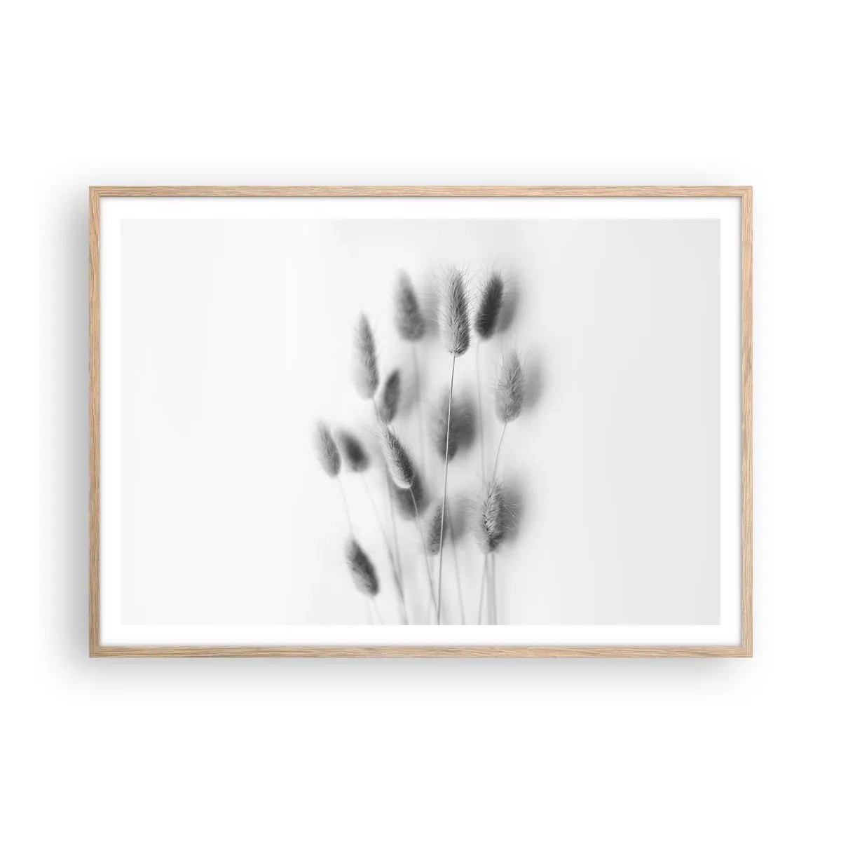 Plagát v ráme zo svetlého duba - Našuchorená tráva - 100x70 cm