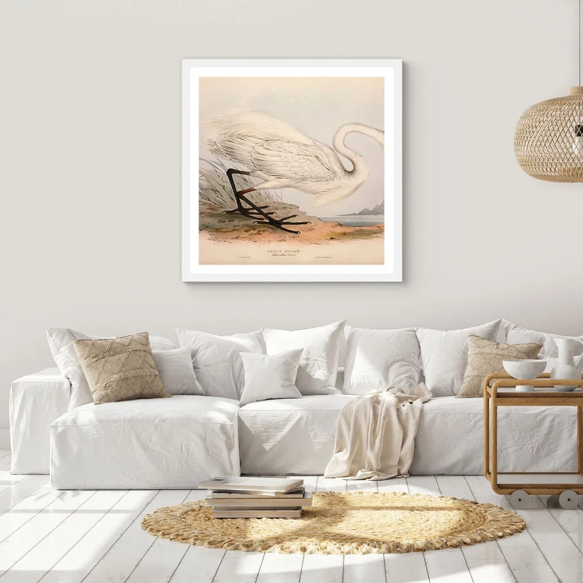 Plagát v bielom ráme - Pani rákosín - 50x50 cm