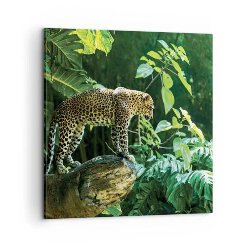 Obraz na plátne - Na lov? - 60x60 cm