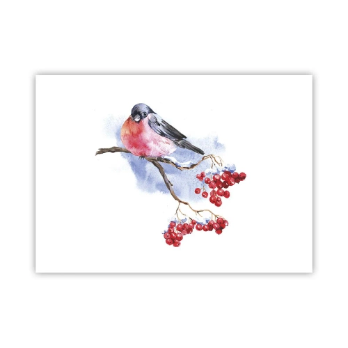 Plagát - Farebná zima - 70x50 cm