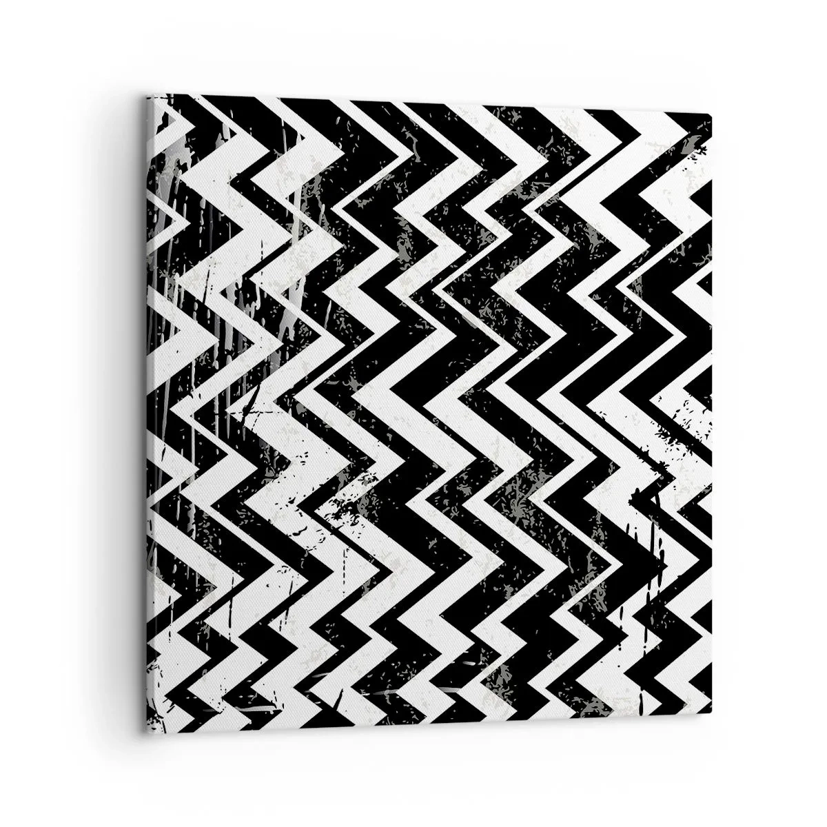 Obraz na plátne - Cik-biele, cik-čierne - 60x60 cm