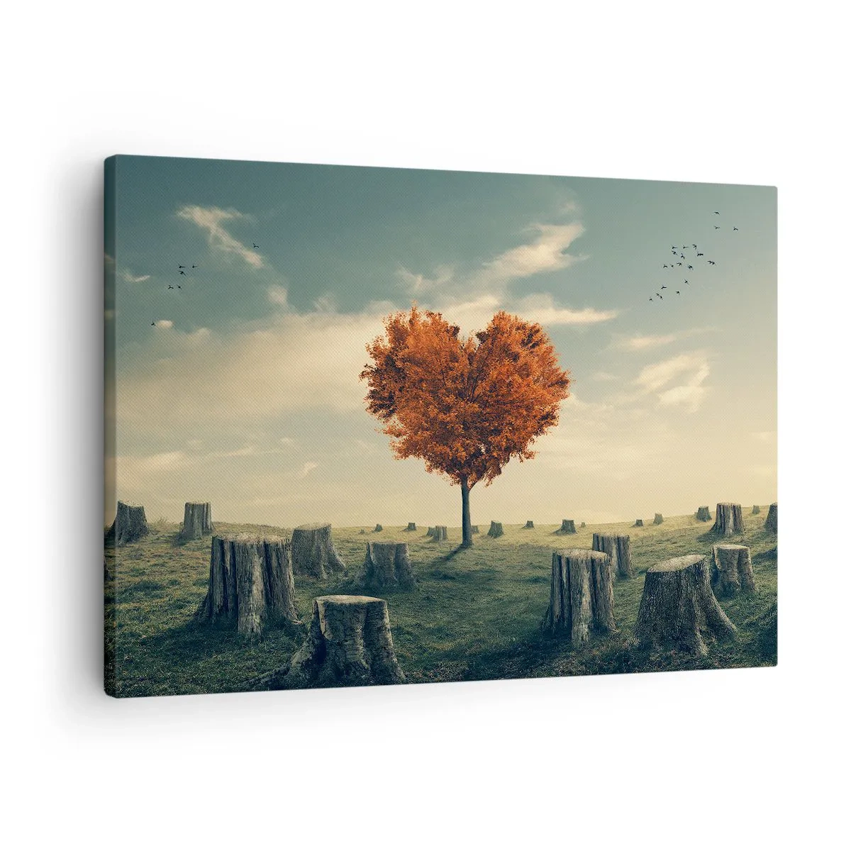 Obraz na plátne - Strom v tvare srdca v poli pňov, symbol nádeje - 70x50cm - Stále je ešte nádej - Moderná nástenná dekorácia do obývacej izby a spálne ARTTOR