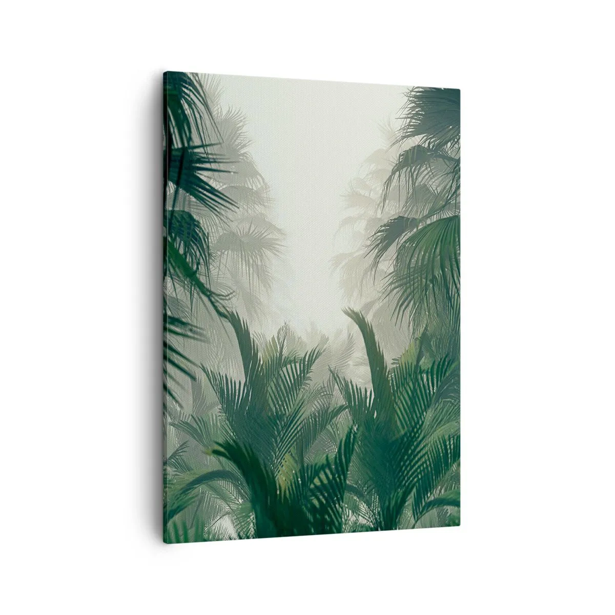 Obraz na plátne - Tropická záhada - 50x70 cm