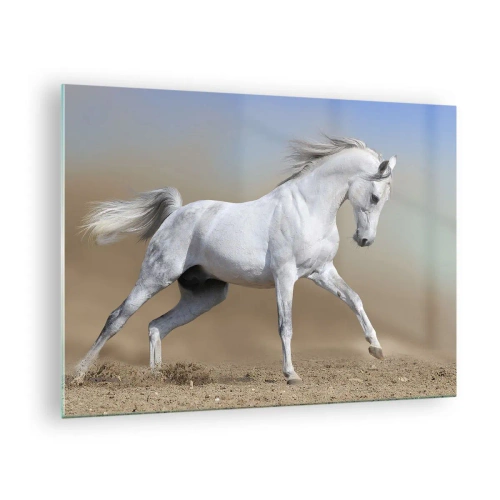 Obraz na skle - Biely kôň cválajúci po piesočnatej zemi - 70x50cm - Najkrajšia arabská rozprávka - Moderná nástenná dekorácia do obývacej izby a spálne ARTTOR