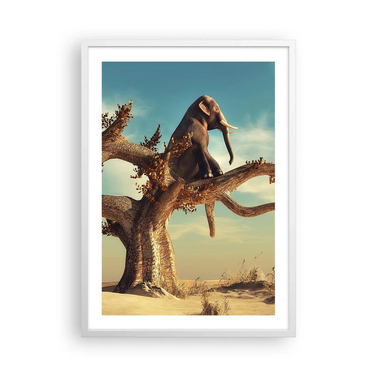 Plagát v bielom ráme - Nový uhol pohľadu - 50x70 cm