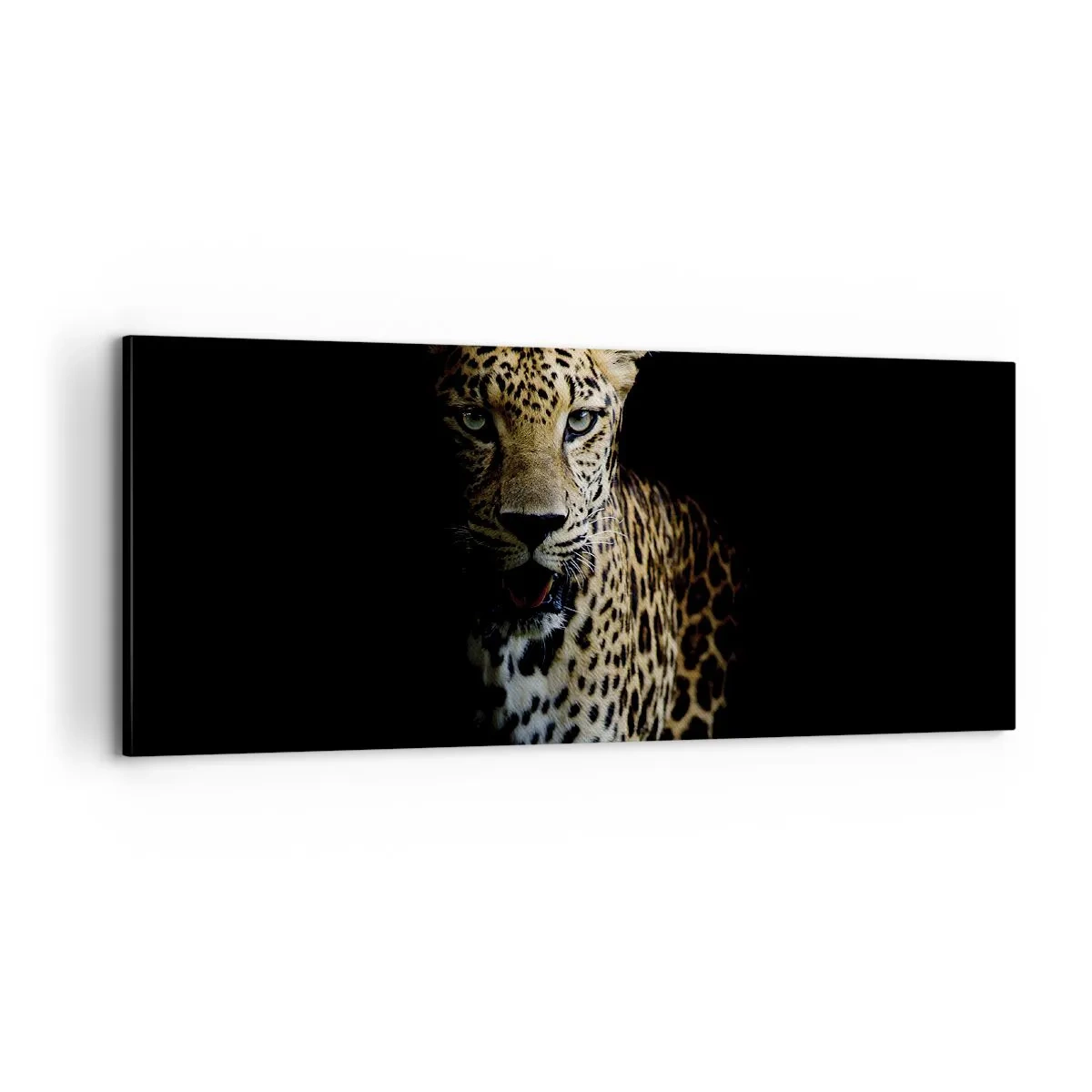 Obraz na plátne - Temná krása - 100x40 cm