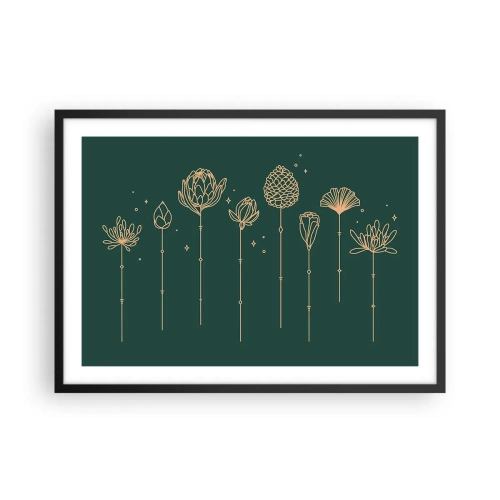 Plagát v čiernom ráme - Bylinky - 70x50 cm