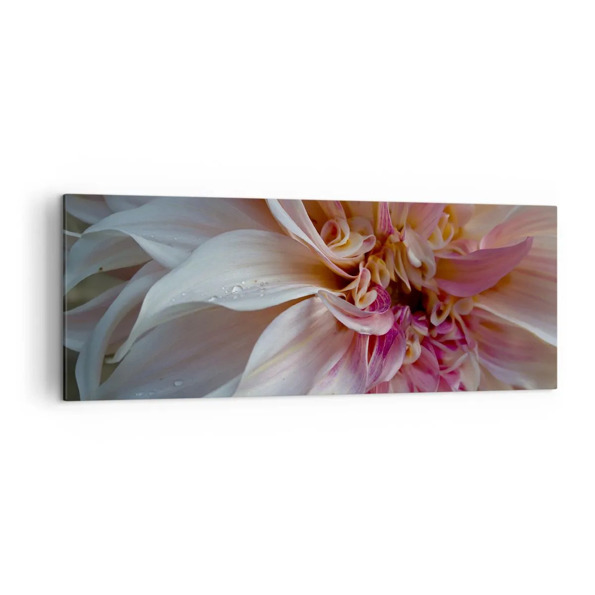 Obraz na plátne - Kvitnúca sviežosť - 140x50 cm