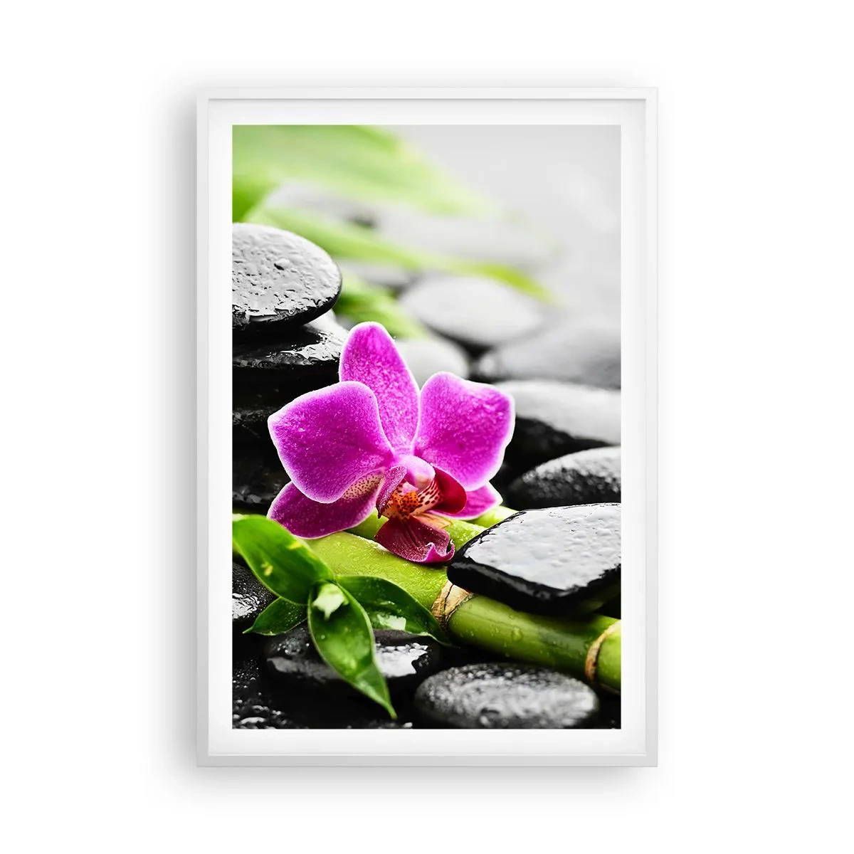 Plagát v bielom ráme - V pokojnej rovnováhe - 61x91 cm