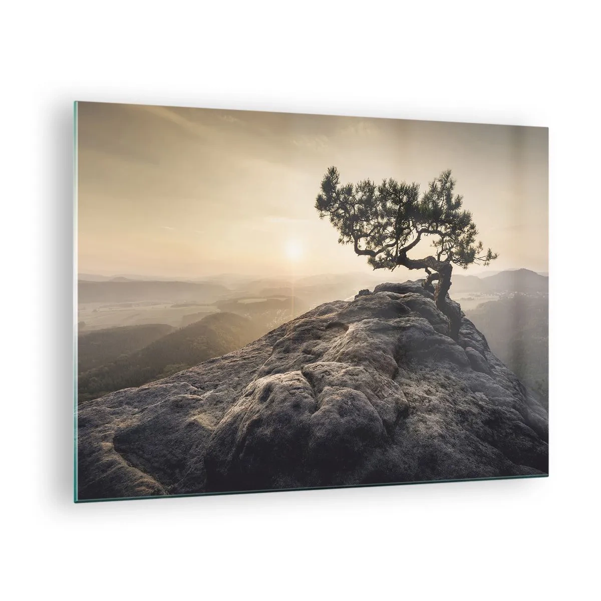 Obraz na skle - Strom na skale vo svetle vychádzajúceho slnka - 70x50cm - Život vždy víťazí - Moderná nástenná dekorácia do obývacej izby a spálne ARTTOR