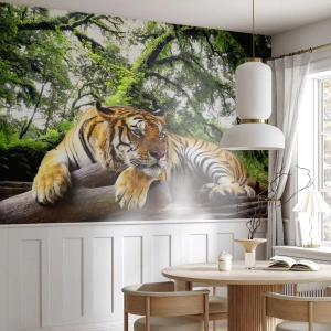 Fototapeta Premium Sand - S úctou - Tiger, Zvieratá, Predátor - 300x210 cm