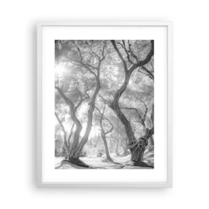 Plagát v bielom ráme - V olivovom háji - 40x50 cm