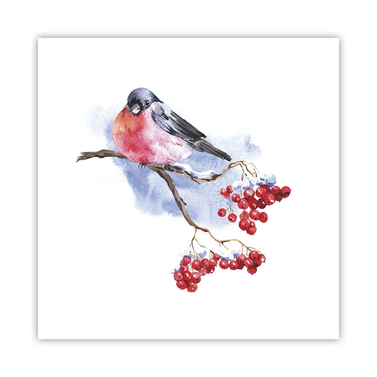 Plagát - Farebná zima - 40x40 cm