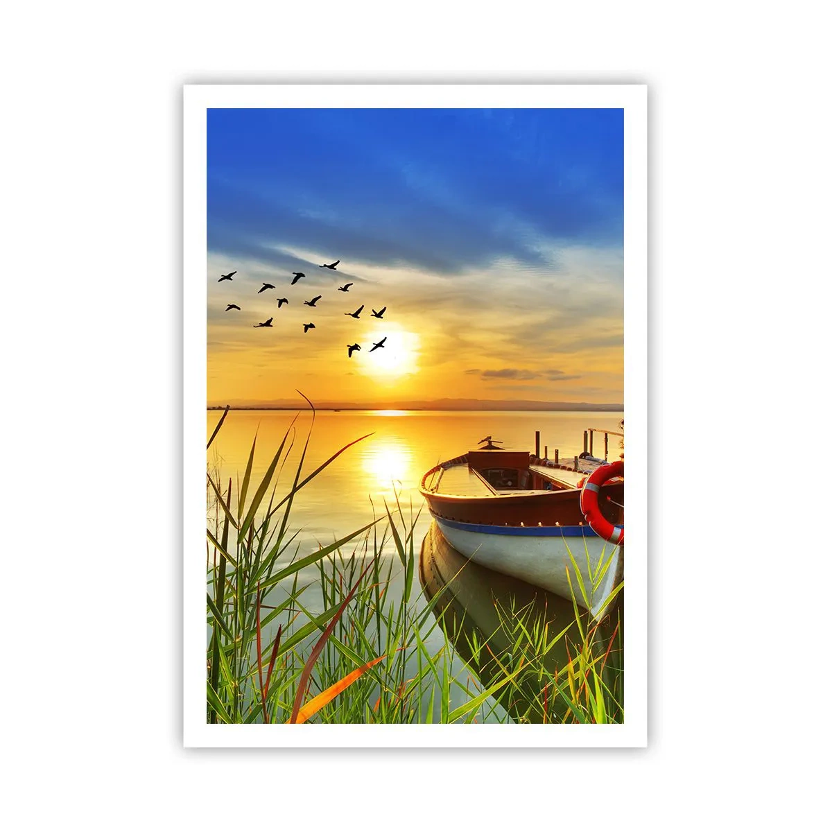 Plagát - Kormorány už odlietajú - 70x100 cm