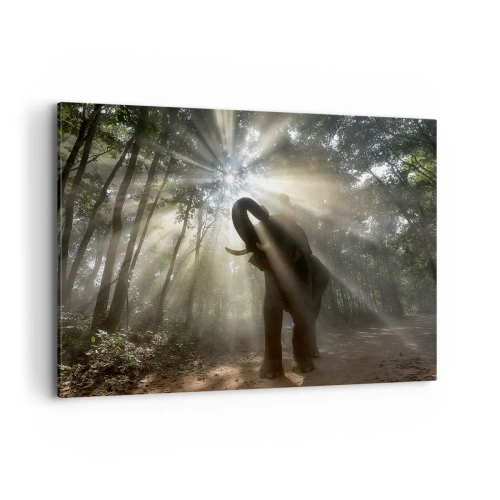 Obraz na plátne - Pod šťastnou hviezdou - 100x70 cm