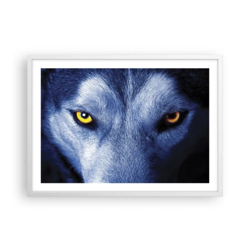 Plagát v bielom ráme - Fascinujúci pohľad - 70x50 cm