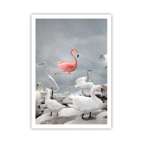 Plagát - Kde som sa tu vzal? - 70x100 cm