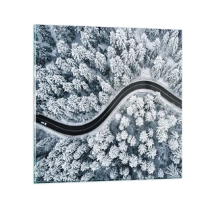 Obraz na skle - Zimným lesom - 30x30 cm