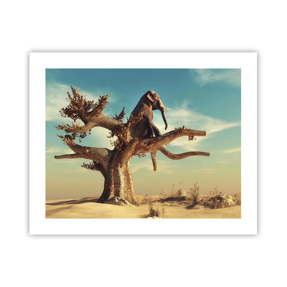 Plagát - Nový uhol pohľadu - 50x40 cm