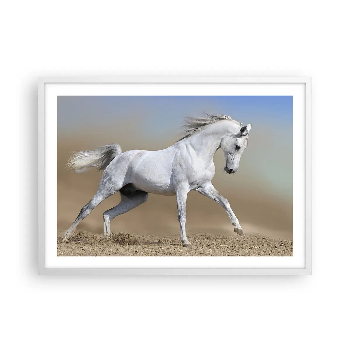 Plagát v bielom ráme - Najkrajšia arabská rozprávka - 70x50 cm