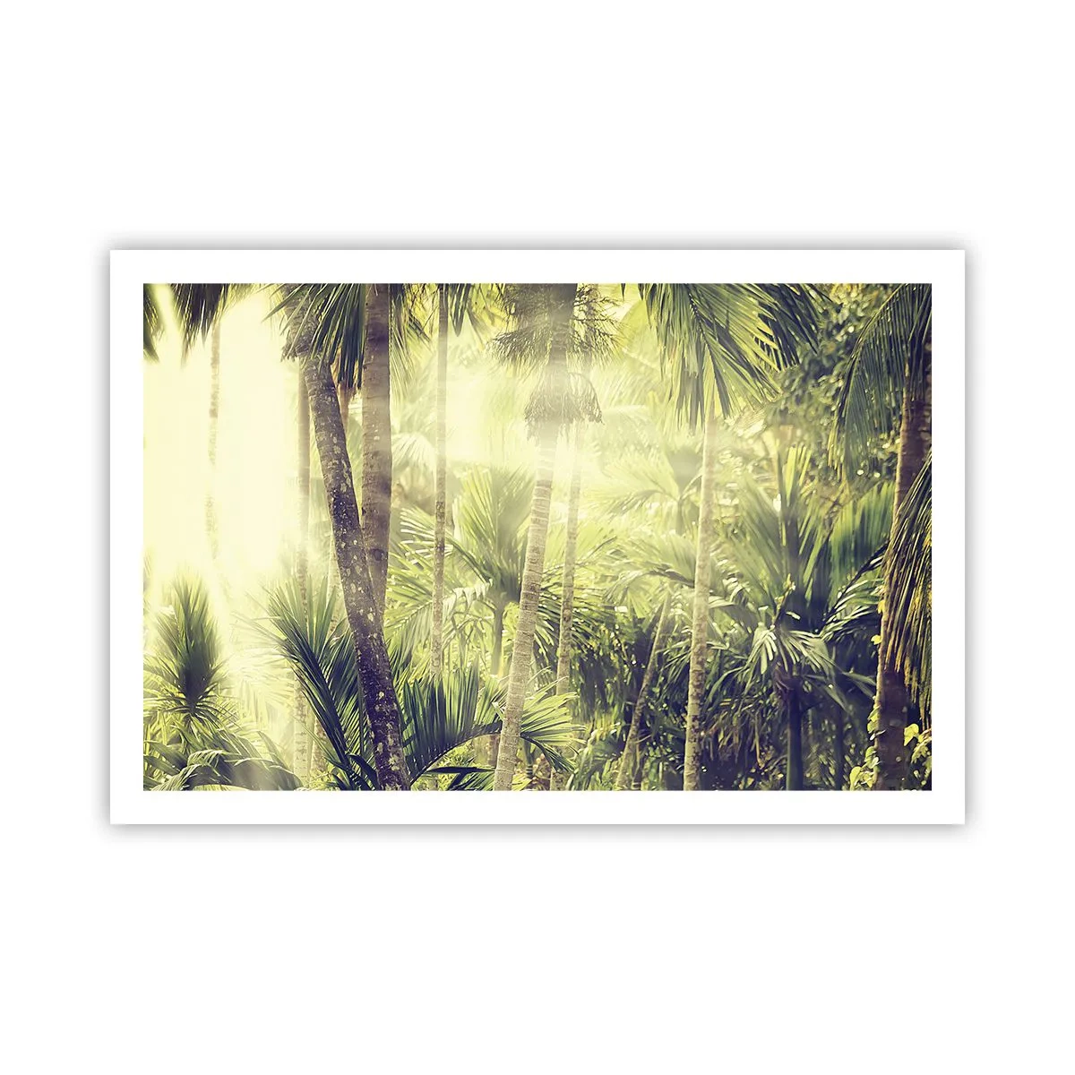 Plagát - V zelenej žiare - 91x61 cm