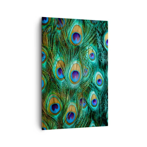 Obraz na plátne - Páví pohľad - 80x120 cm