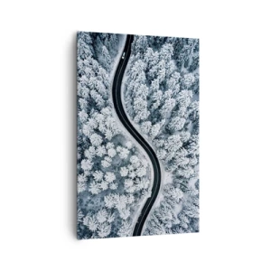 Obraz na plátne - Zimným lesom - 80x120 cm