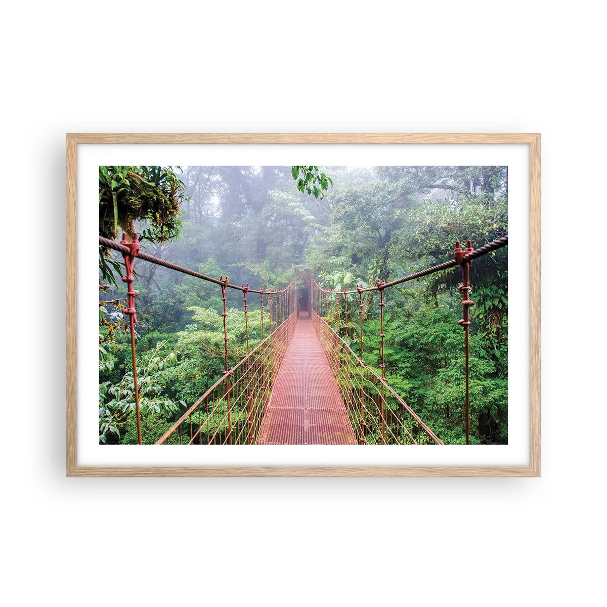 Plagát v ráme zo svetlého duba - Zavesený nad korunami - 70x50 cm