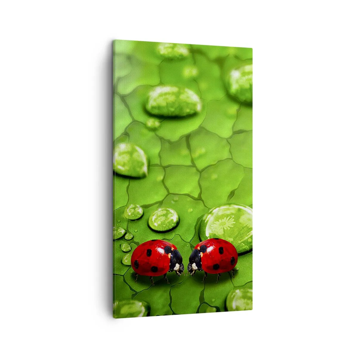 Obraz na plátne - Stretnutie v zeleni - 45x80 cm
