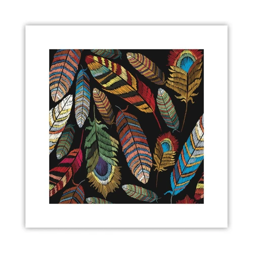 Plagát - Vtáčí karneval - 30x30 cm