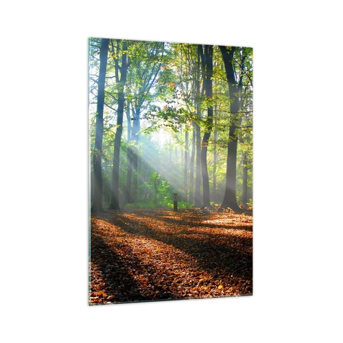 Obraz na skle - Svetlá a tiene - 70x100 cm