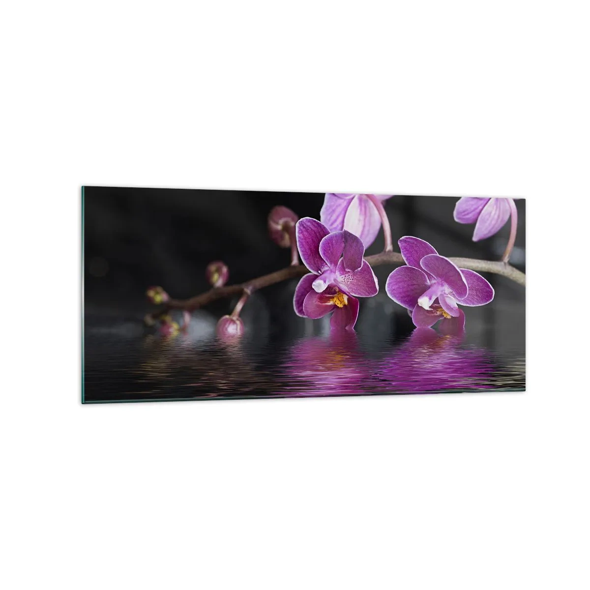 Obraz na skle - Ľaliový odraz krásy - 120x50 cm