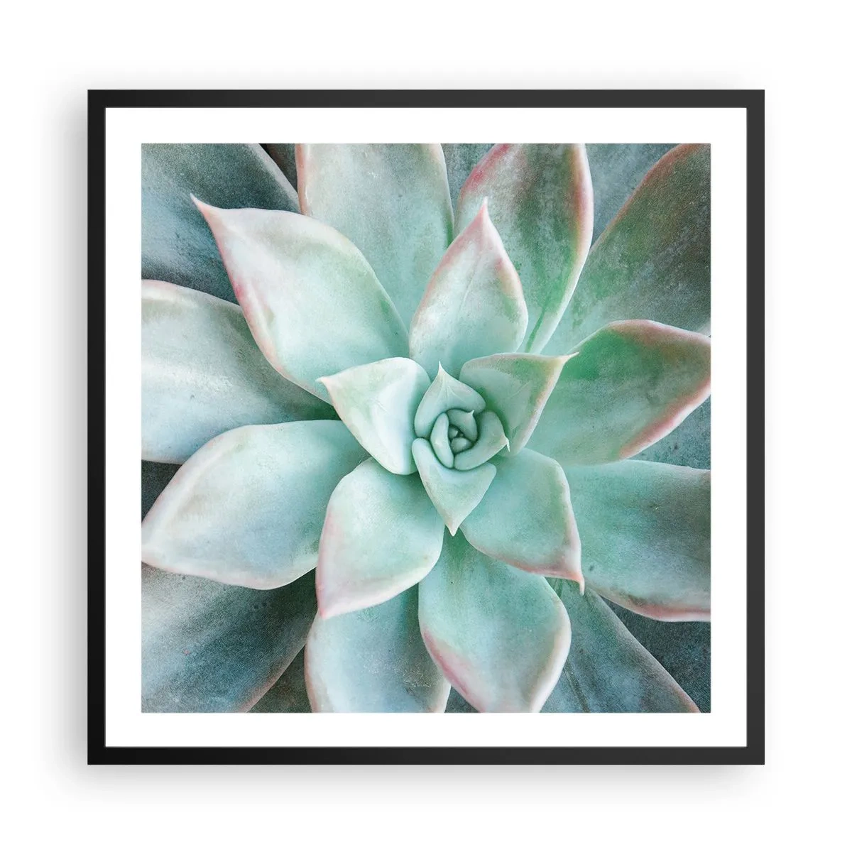 Plagát v čiernom ráme - Srdce púšte - 60x60 cm