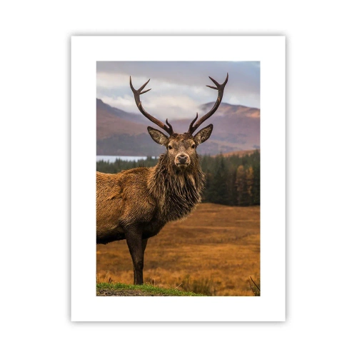 Plagát - Majestát prírody - 30x40 cm