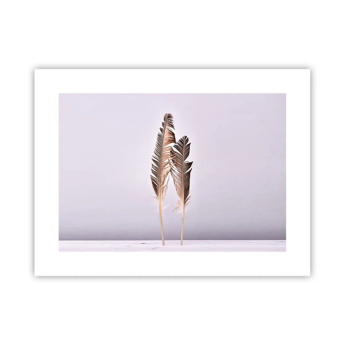 Plagát - Proti ničote - 40x30 cm