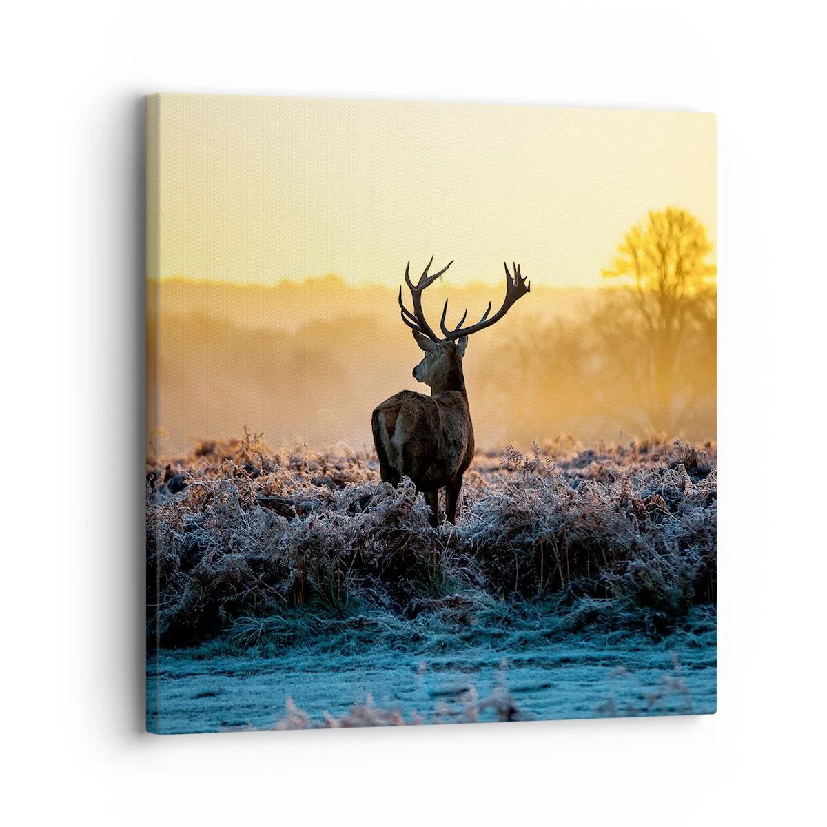 Obraz na plátne - Korunovaný na svojom panstve - 30x30 cm