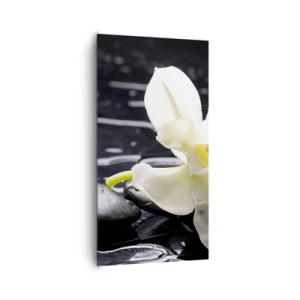 Obraz na plátne - Štúdia v čiernej a bielej - 65x120 cm